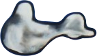 nuage