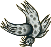 oiseau2 oiseau2